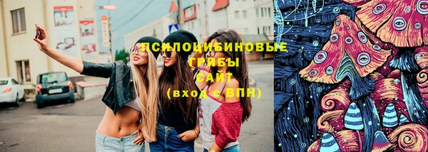 МДПВ Арсеньев